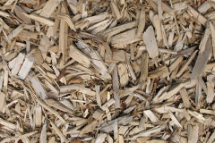 biomass boilers Lenacre